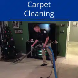 Carpet Cleaning