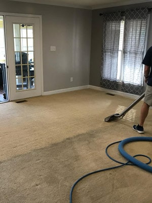 Carpet Cleaning