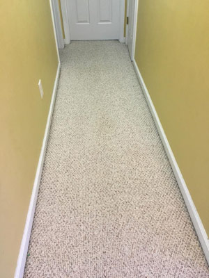 Carpet Cleaning