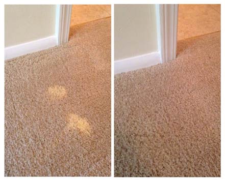 Bleach Spot Repair Before and After