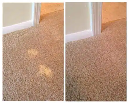 Bleach Spot Repair Before and After